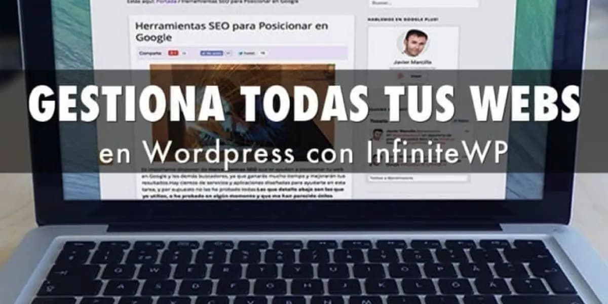 An&aacute;lisis de InfiniteWP
