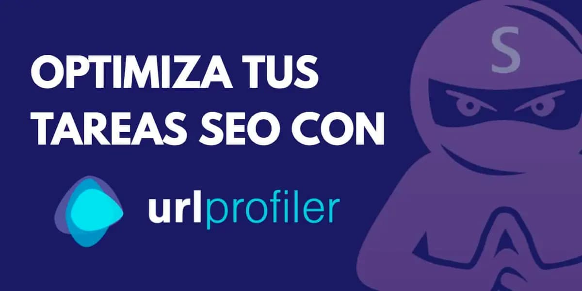 Gu&iacute;a de URL Profiler