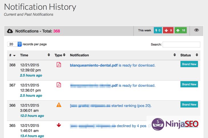 Notificación_de_descarga_de_Informes_en_SERPWoo_-_NinjaSEO