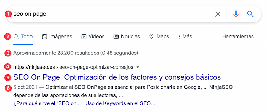 Resultados de búsqueda de Google NinjaSEO