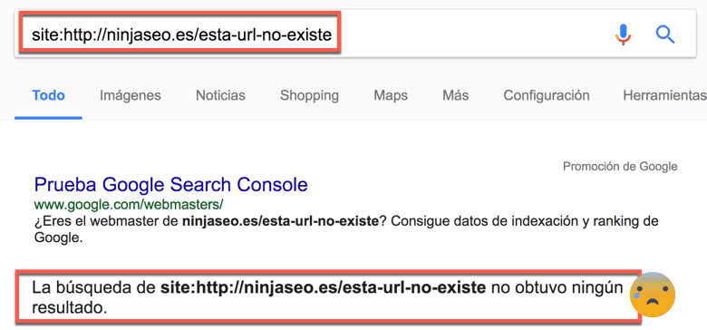 URL-no-indexada-en-Google